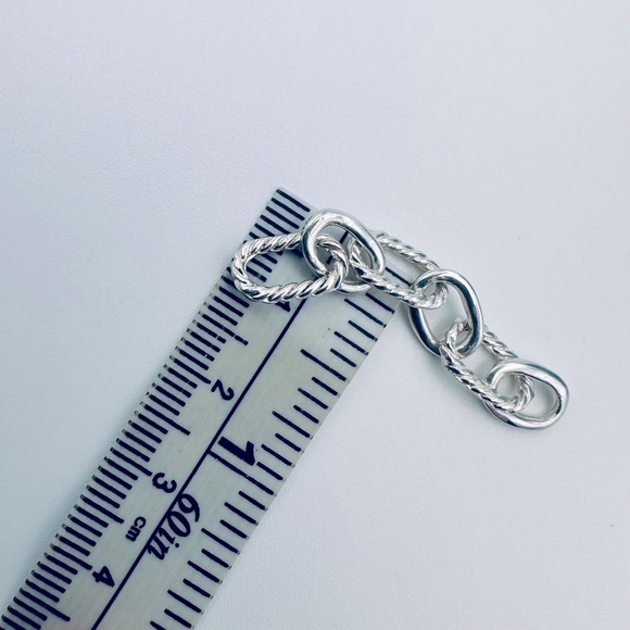 Tiffany & Co. Extra Links for Equestrian Charm Bracelet - Picture 6 of 7